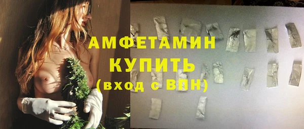 дживик Бородино