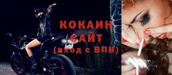 дживик Бородино