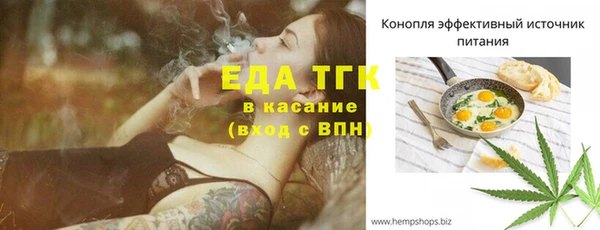 дживик Бородино