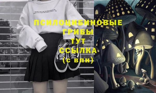 тгк Бугульма