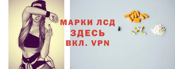 дживик Бородино