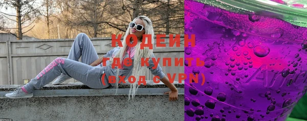 дживик Бородино