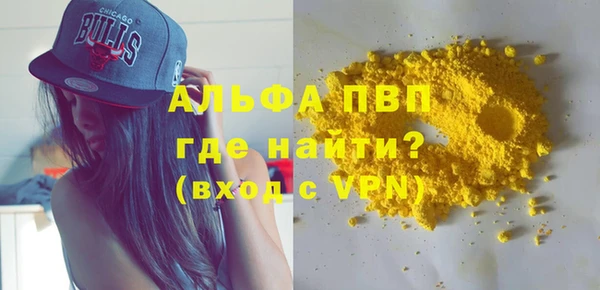 дживик Бородино